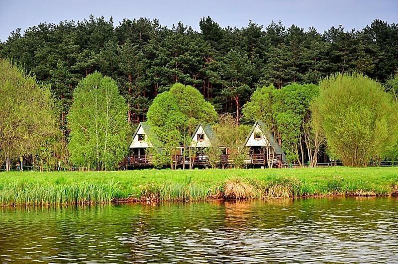 Отель Wawrzkowizna Rzasawa Экстерьер фото