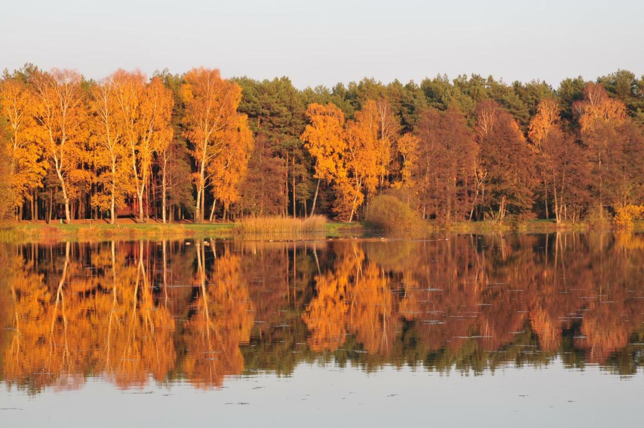 Отель Wawrzkowizna Rzasawa Экстерьер фото
