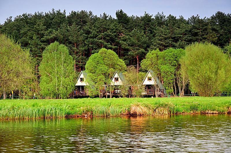 Отель Wawrzkowizna Rzasawa Экстерьер фото